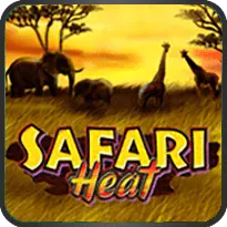 SAFARI HEAT