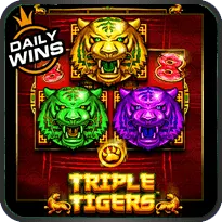 TRIPLE TIGERS