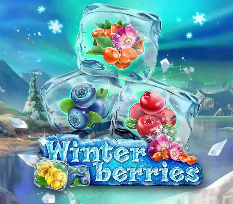 WINTER BERRIES